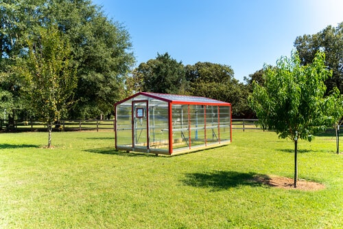 Economy greenhouse