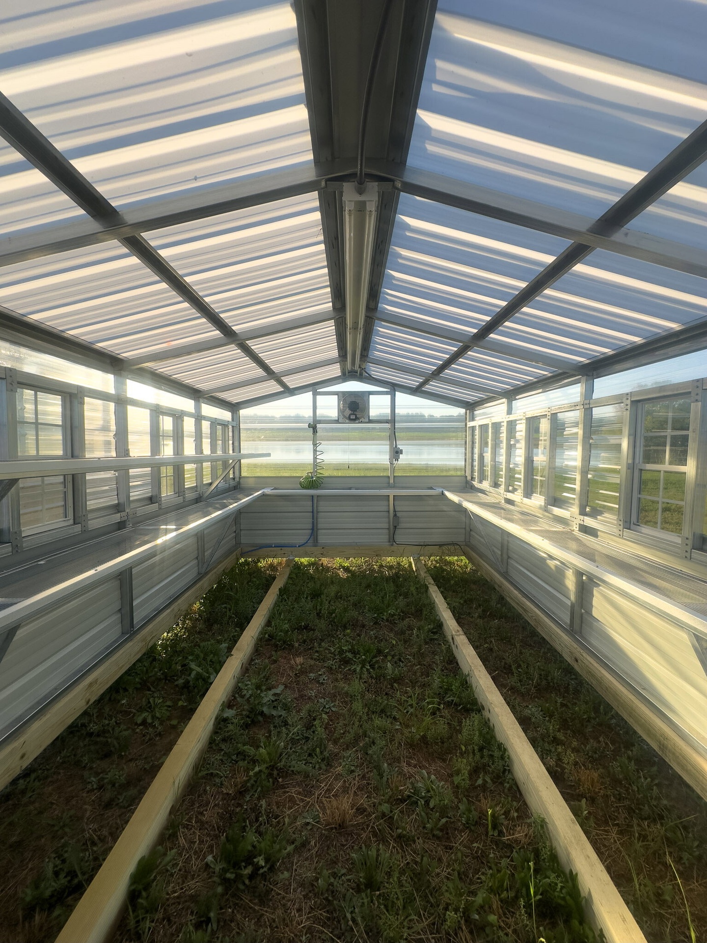 10x16 Greenhouse serial AFSG-7857-1016-280224