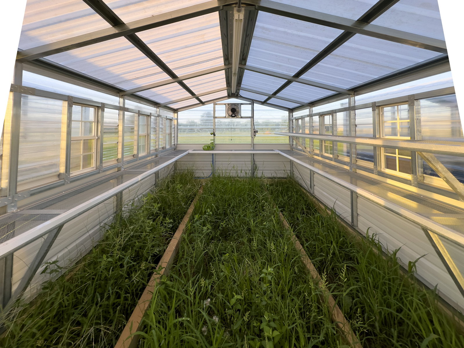 10x16 Greenhouse serial AFSG-8847-1016-140525