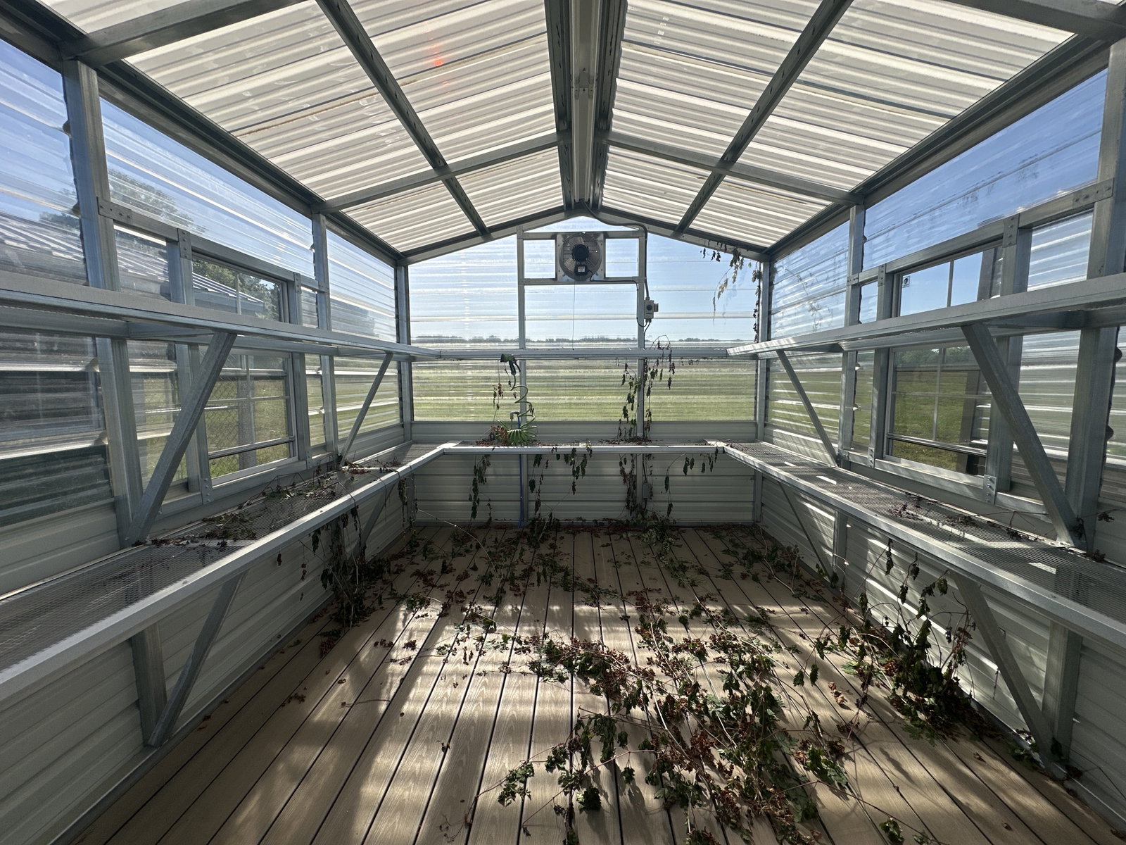 10x12 Greenhouse Deluxe serial DSGR-8125-1012-200524